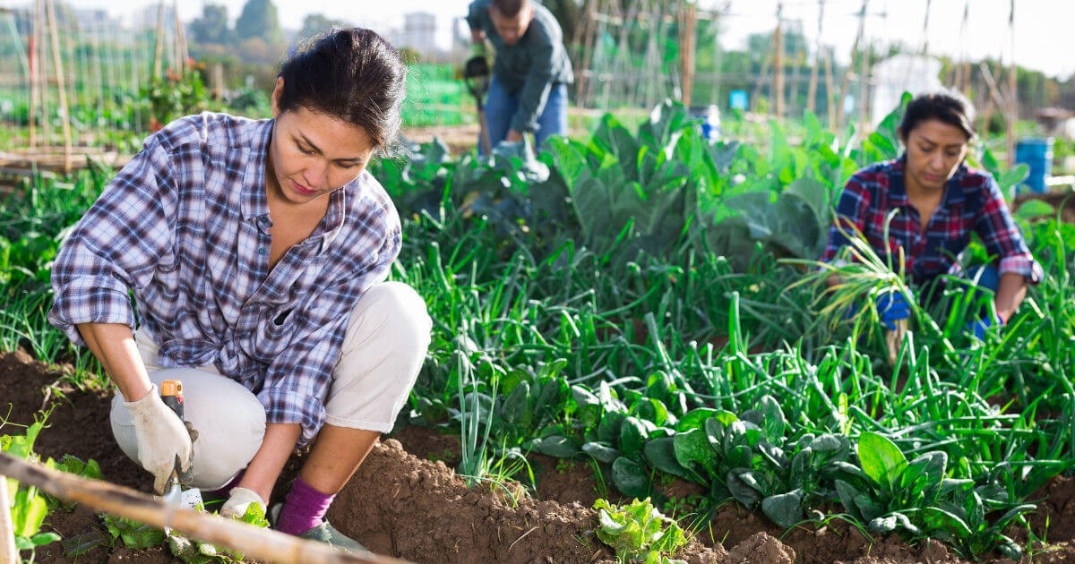 hobby-farming